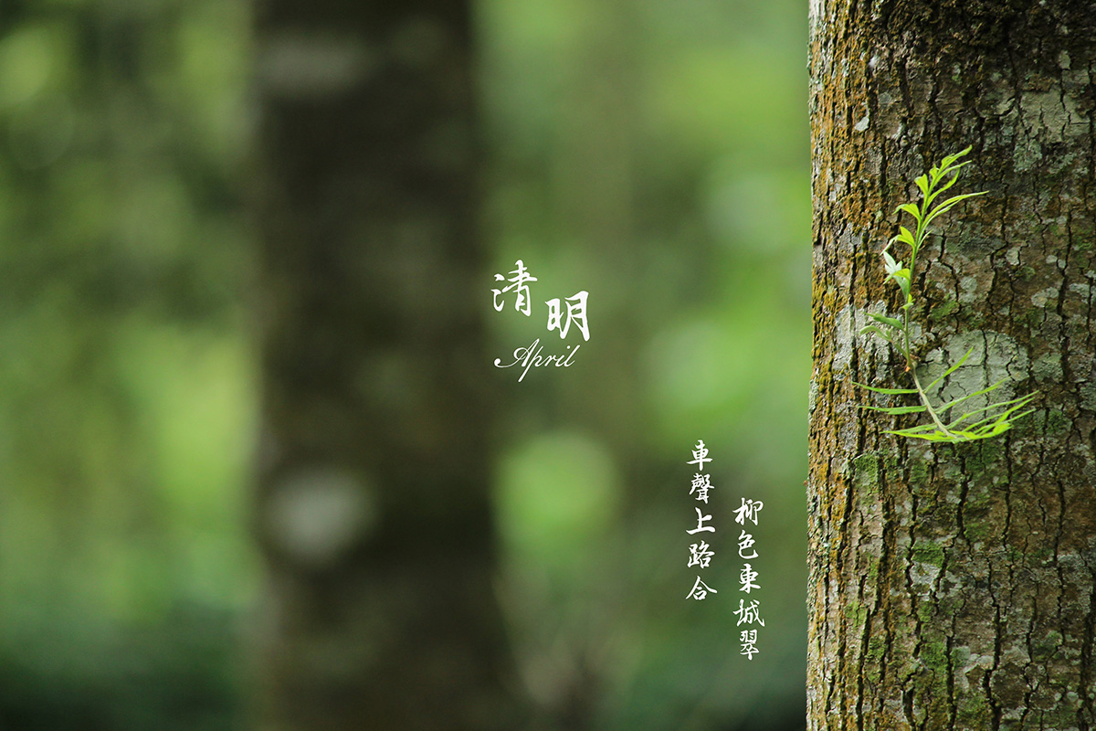 創(chuàng)達(dá)2025年清明節(jié)放假通知